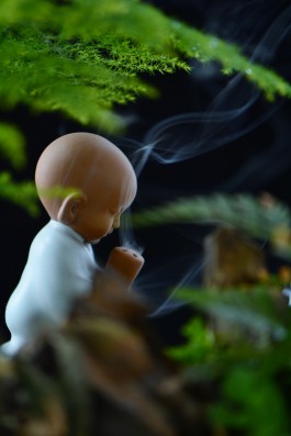 业力牵引